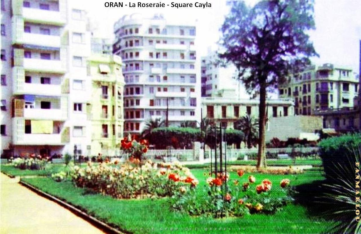 Oran - Square Cayla - Roseraie .jpg